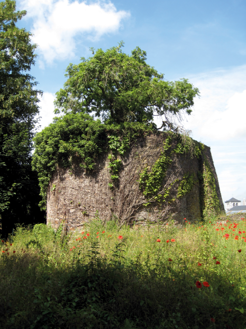 Les vestiges d’une tour des remparts de Huy située derrière les habitations de la rue du Marché © IPW
