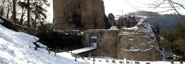 Ruines du château fort de Franchimont - G. Focant © SPW