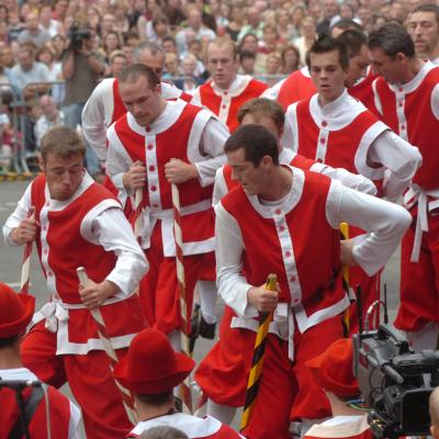Combat des échasseurs namurois