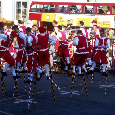 Combat des échasseurs namurois