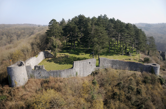 Les vestiges de la forteresse de Poilvache. Photo G. Focant © SPW-Patrimoine