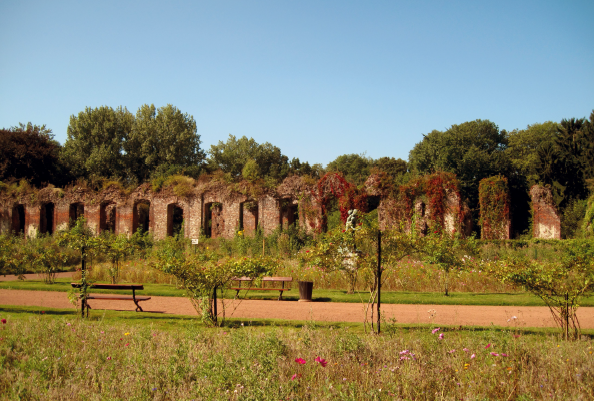 Les vestiges du palais de Charles-Alexandre de Lorraine, dans le parc de Mariemont © IPW