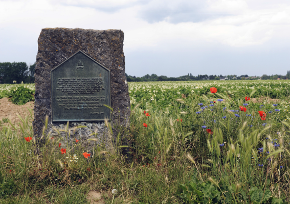La stèle en hommage au régiment britannique Inniskilling. Photo G. Focant © SPW-Patrimoine